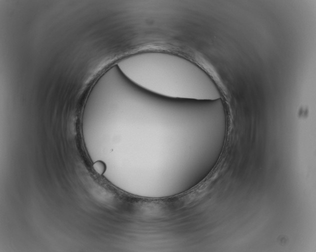 X0000093120106200709261023