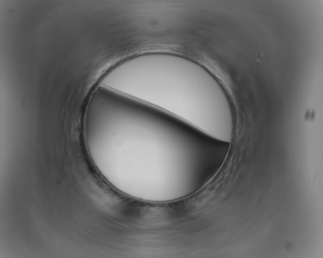 X0000093120107200709261023