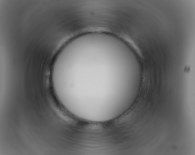 X0000093120110200709261022