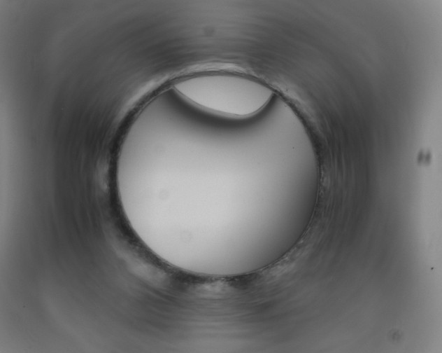 X0000093120112200709261022