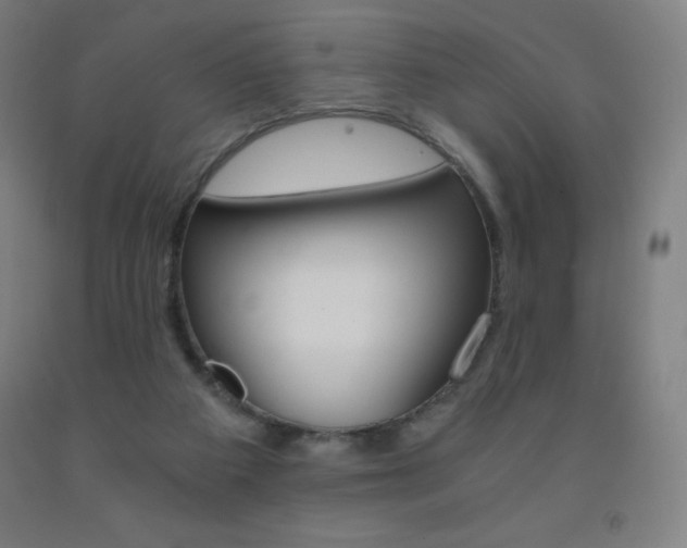 X0000093120113200709261022