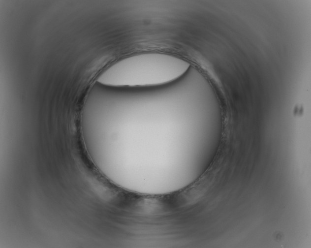 X0000093120114200709261022