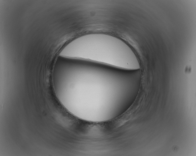 X0000093120115200709261022