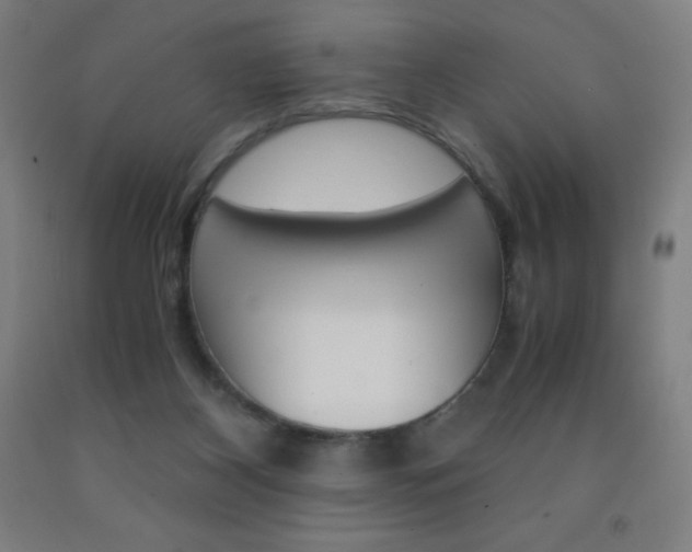 X0000093120116200709261022