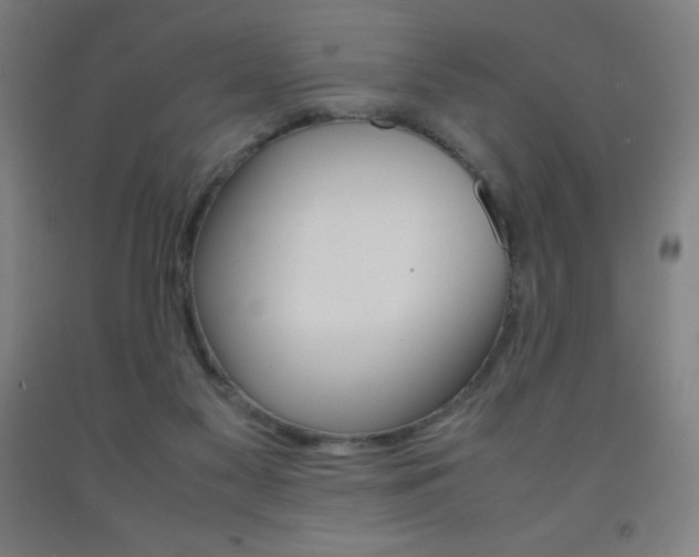 X0000093120117200709261022