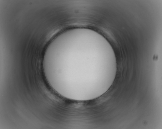 X0000093120120200709261022