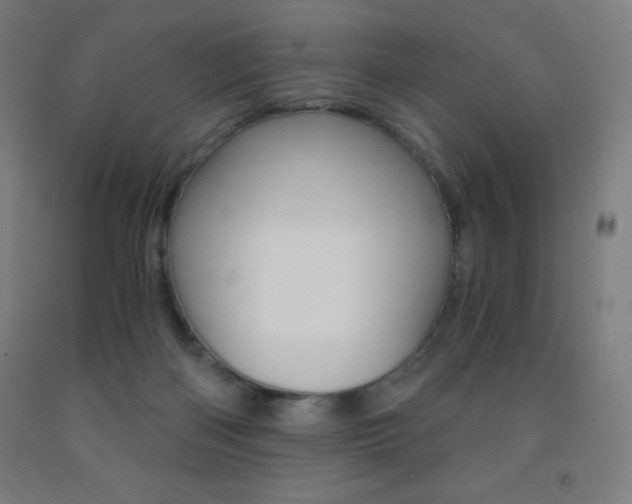 X0000093120122200709261022
