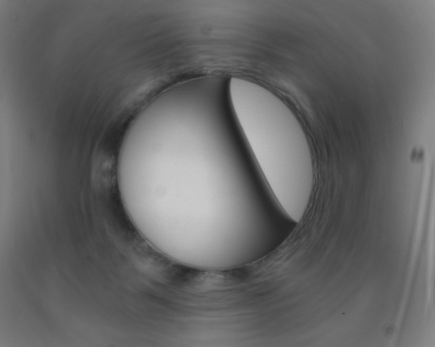X0000093120123200709261022