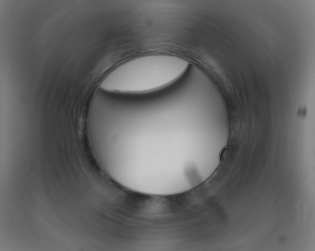 X0000093120124200709261022