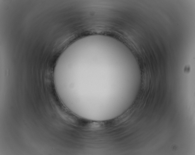 X0000093120126200709261022
