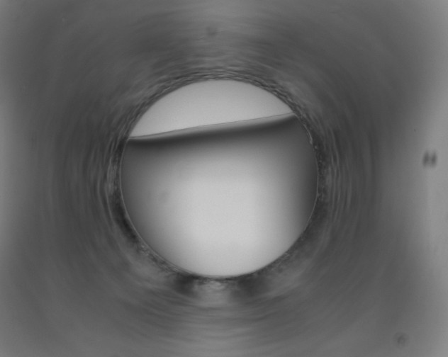X0000093120129200709261022