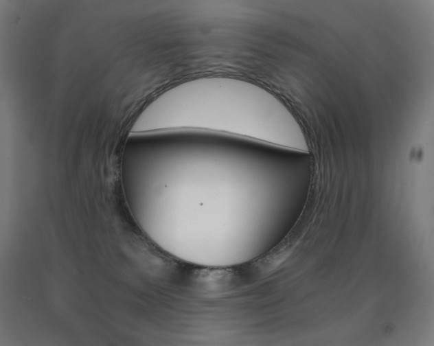 X0000093120135200709261022