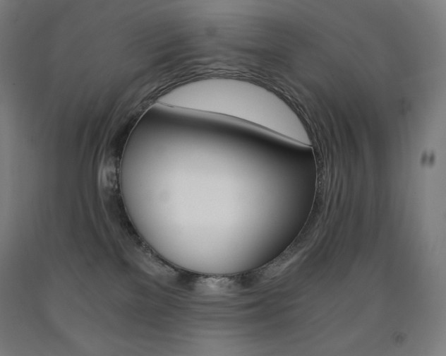 X0000093120137200709261022