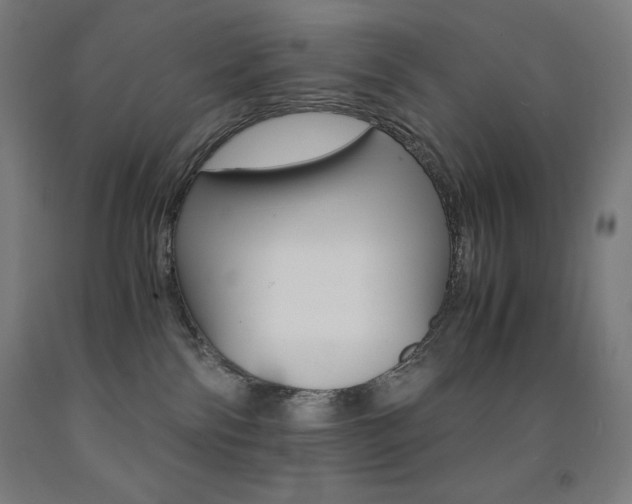 X0000093120138200709261022
