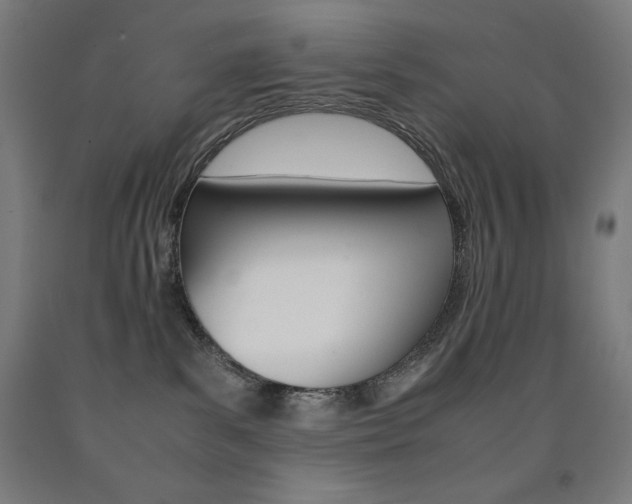 X0000093120139200709261022