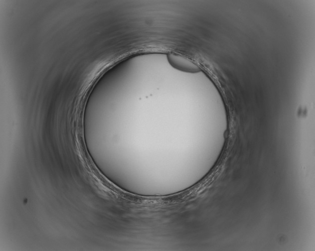 X0000093120145200709261021