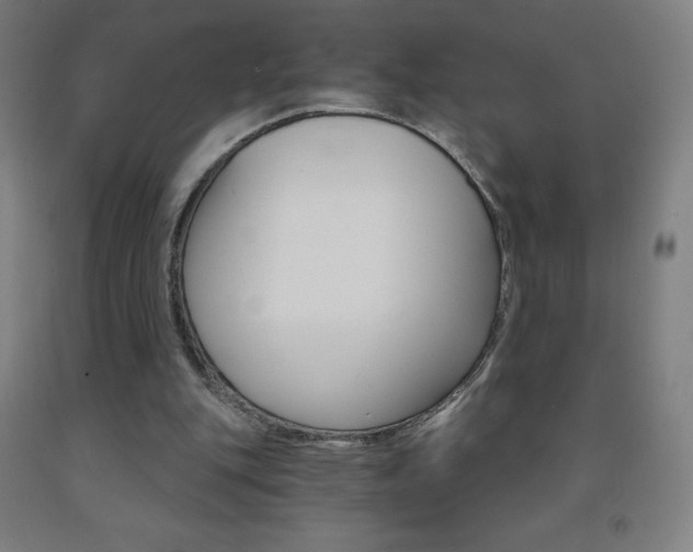X0000093120151200709261022
