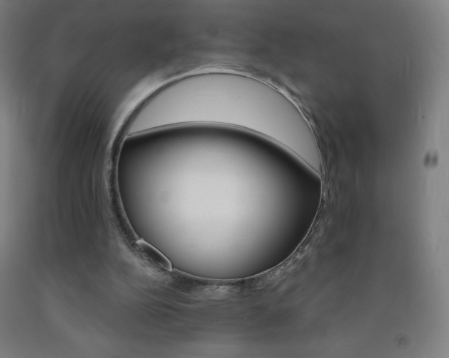 X0000093120152200709261022