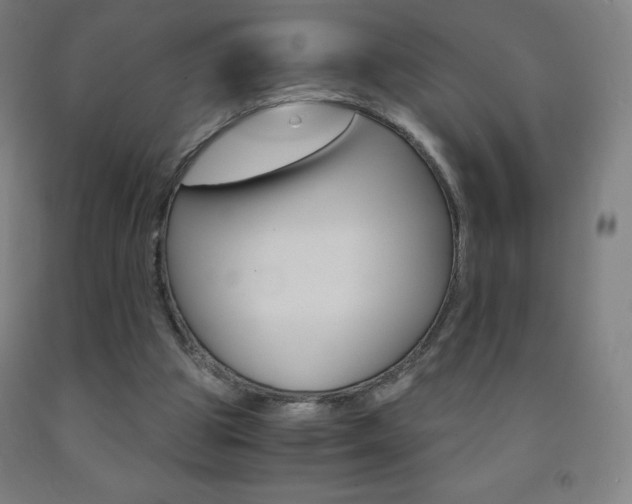 X0000093120153200709261022