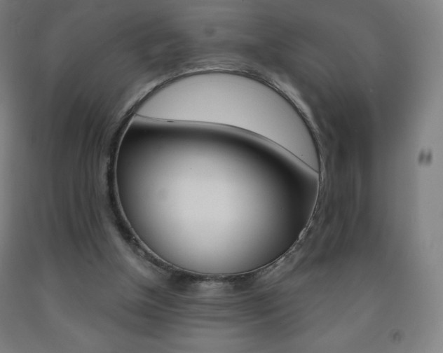 X0000093120154200709261022