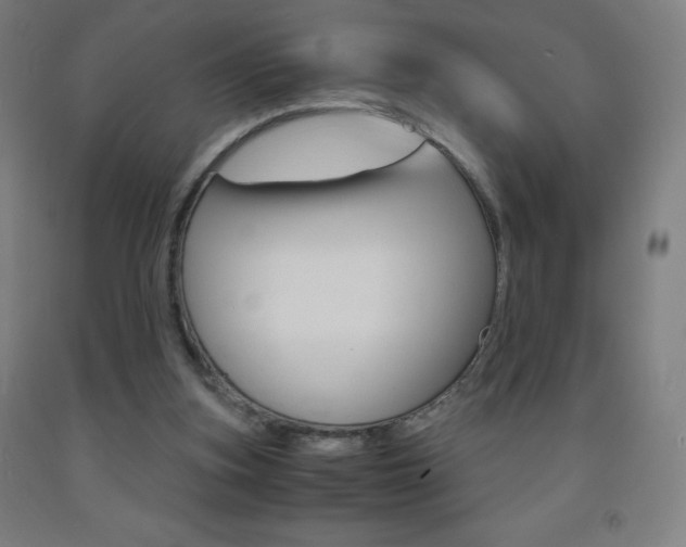 X0000093120155200709261022