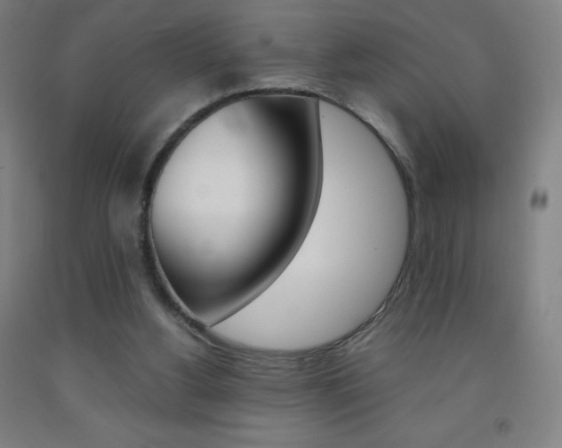X0000093120156200709261022