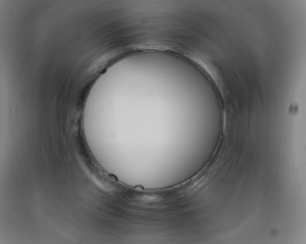 X0000093120157200709261022