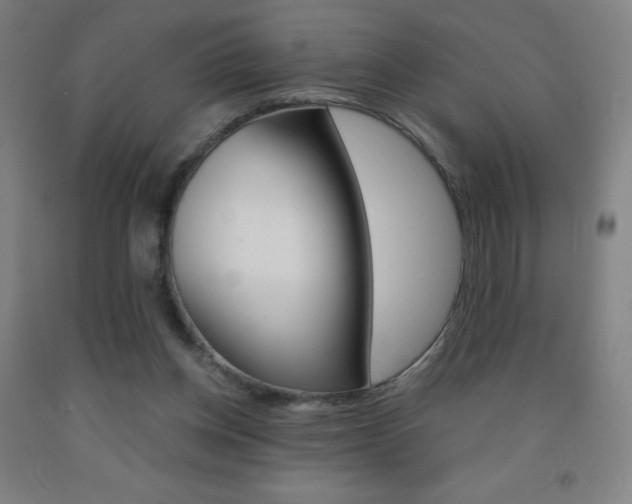 X0000093120158200709261022