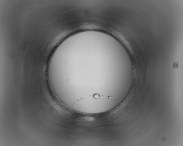 X0000093120159200709261022