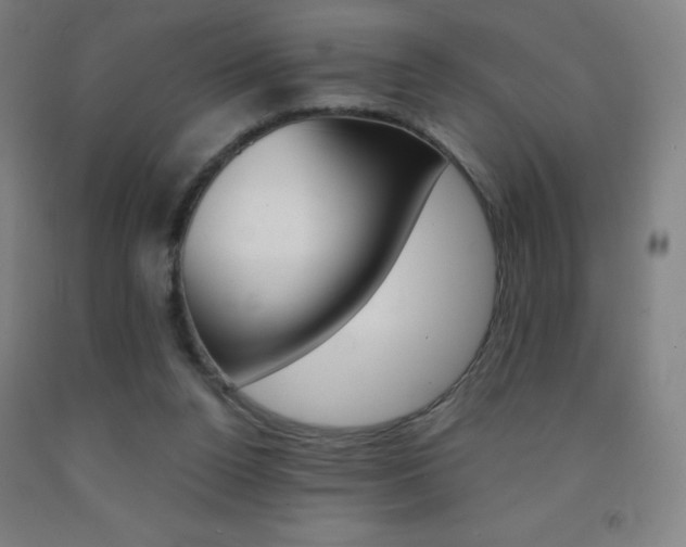 X0000093120160200709261022