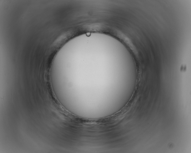 X0000093120161200709261022