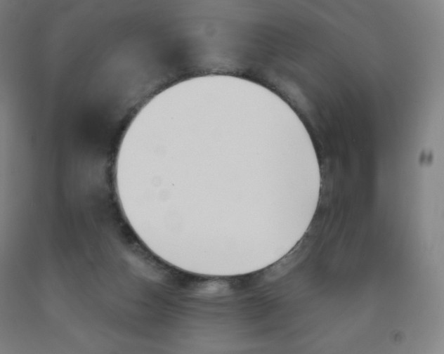 X0000093120162200709261022