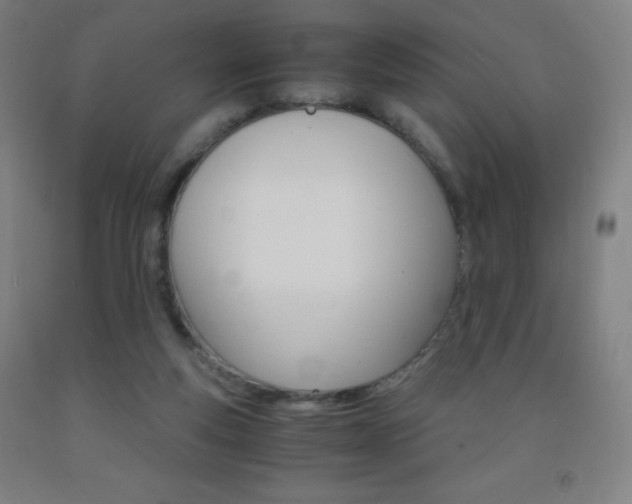 X0000093120163200709261022