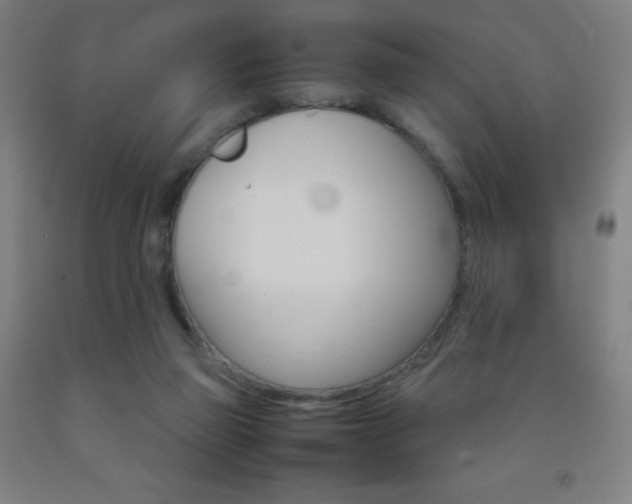 X0000093120165200709261022
