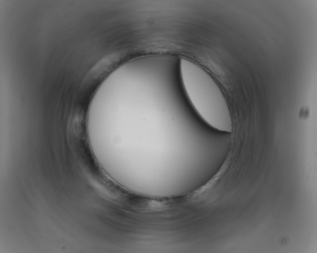 X0000093120166200709261022