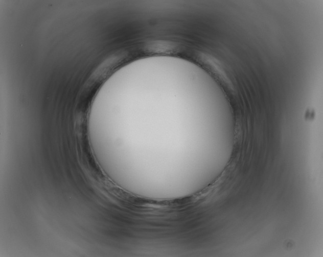 X0000093120167200709261022