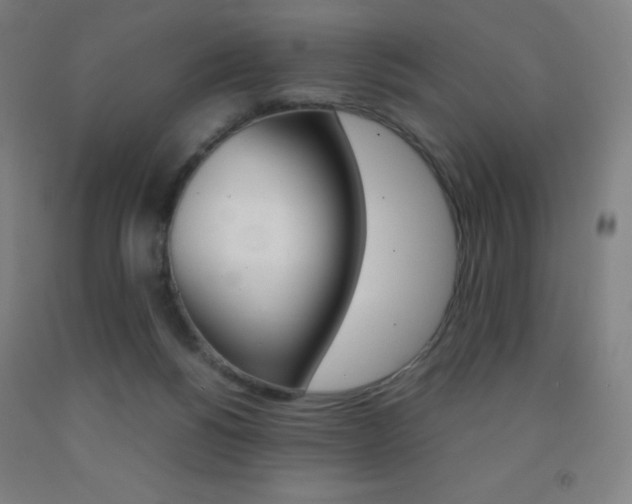 X0000093120168200709261022