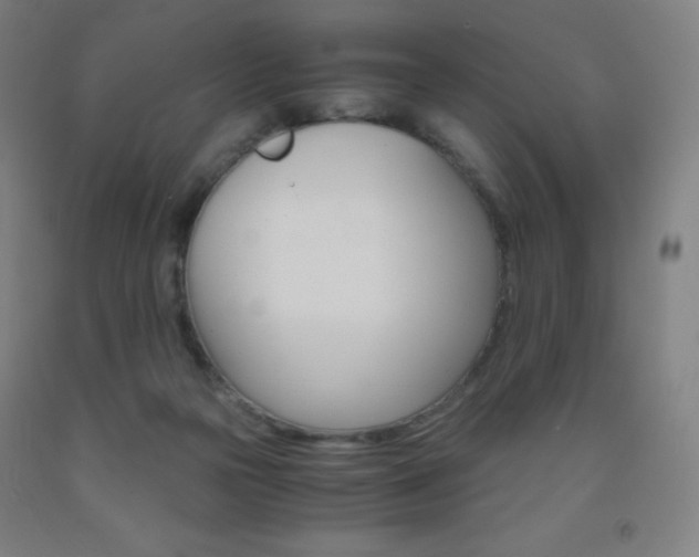 X0000093120169200709261022