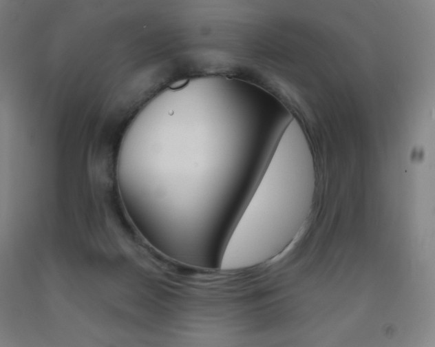 X0000093120170200709261022