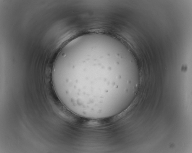 X0000093120171200709261022