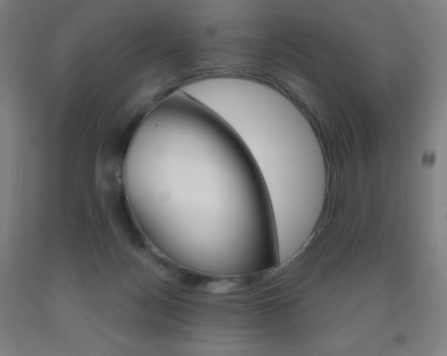 X0000093120172200709261022