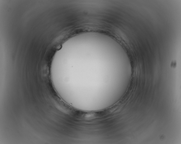 X0000093120173200709261022