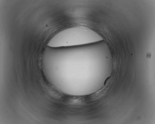 X0000093120175200709261022