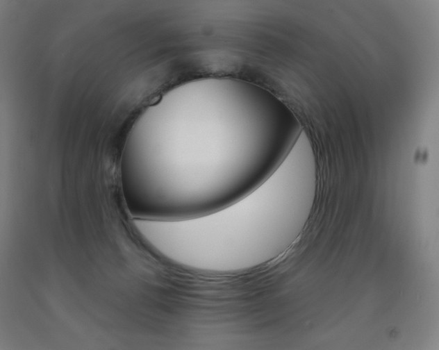 X0000093120176200709261022