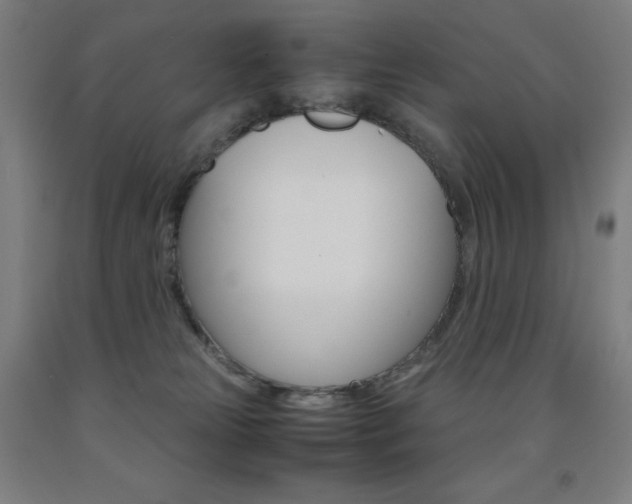 X0000093120181200709261022
