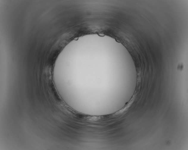 X0000093120182200709261022