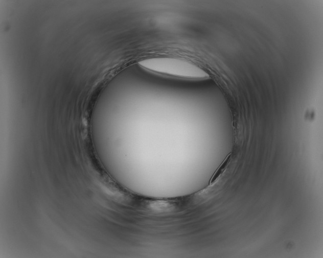 X0000093120183200709261022