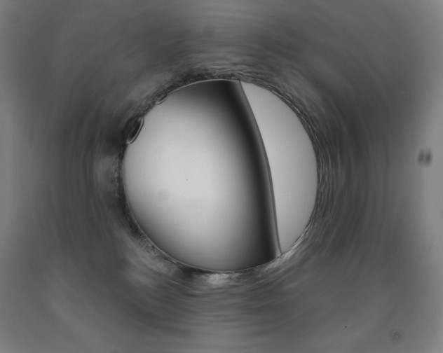 X0000093120184200709261022