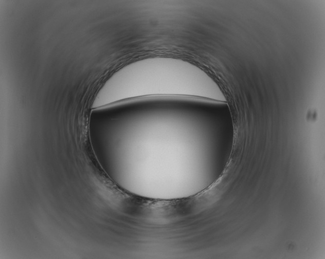 X0000093120186200709261022
