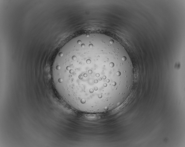 X0000093120187200709261022